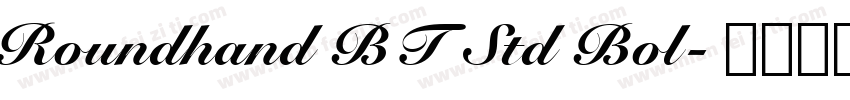 Roundhand BT Std Bol字体转换